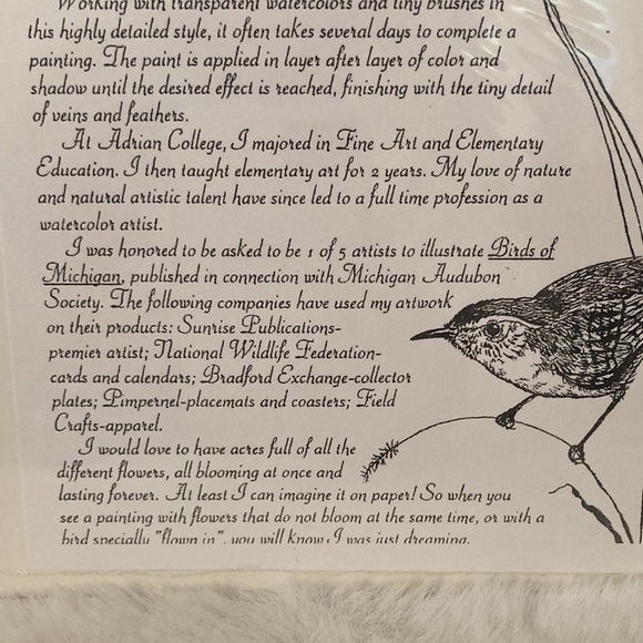 Cyndy Callog 1999 Autumn Junco Print - Picture 10 of 12